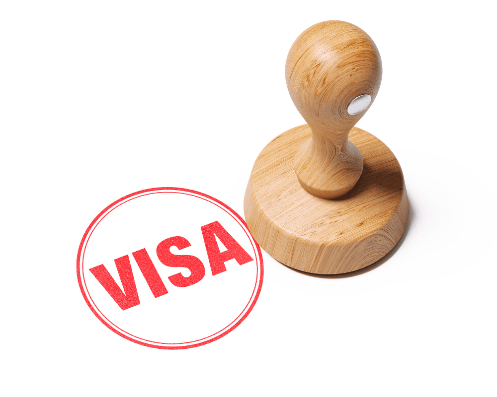 Types de visa pour les professionnels étrangers en Allemagne : lequel te convient le mieux ?