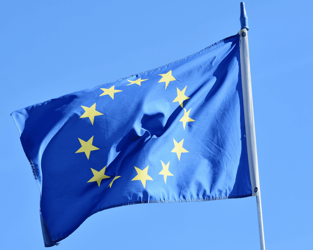 Le processus de la carte bleue : Comment les travailleurs hautement qualifiés peuvent s’installer en Allemagne