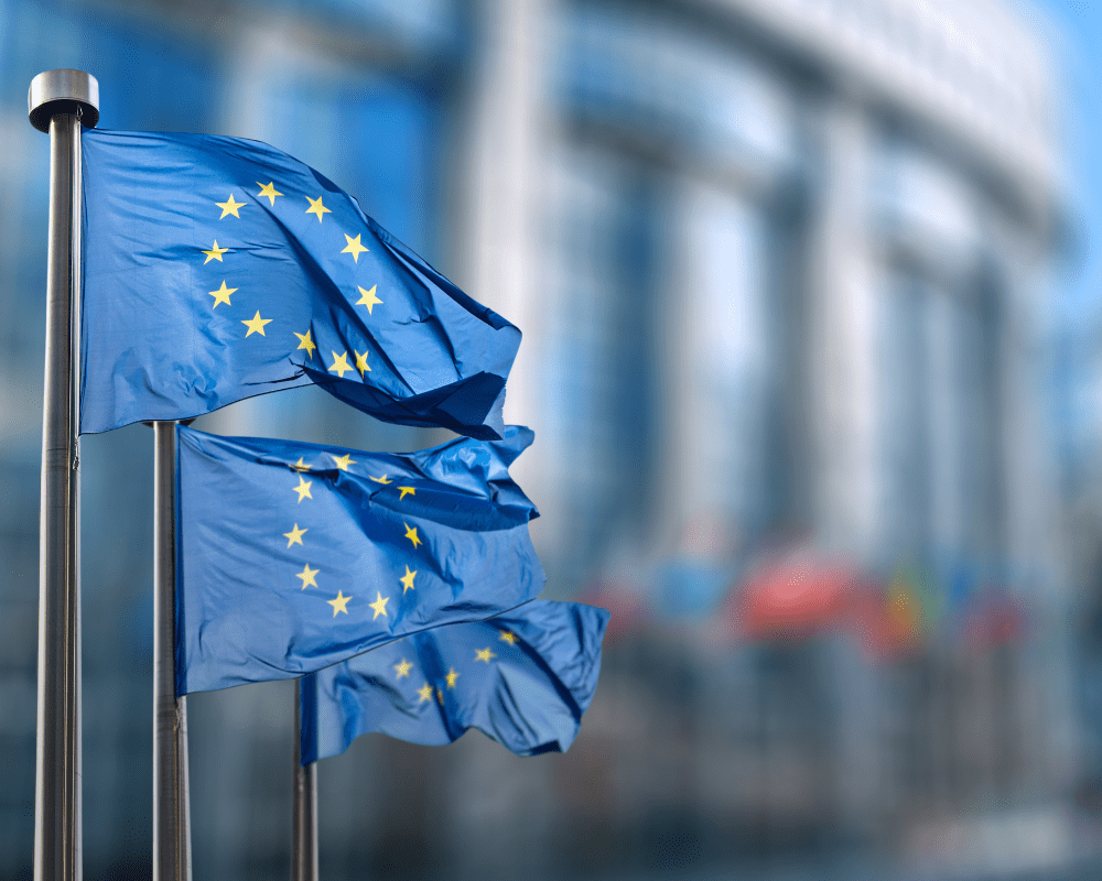 La Carte Bleue UE : Un Guide pour les Candidats Marocains